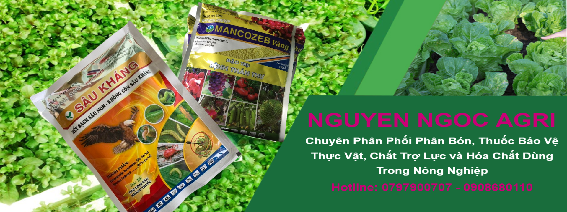 Nguyen Ngoc Agri