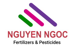CÔNG TY TNHH SẢN XUẤT THƯƠNG MẠI DỊCH VỤ NÔNG NGHIỆP NGUYÊN NGỌC