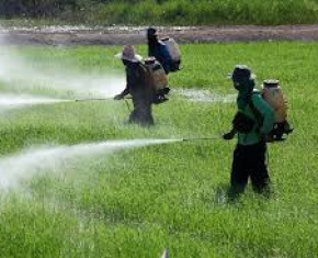 Giải mã những hiểu lầm về hóa chất trong nông nghiệp
