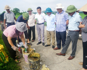 Phân bón lá - Bạn của nhà nông