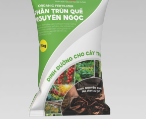 Những phương pháp xử lý đất nhiễm Cadimi