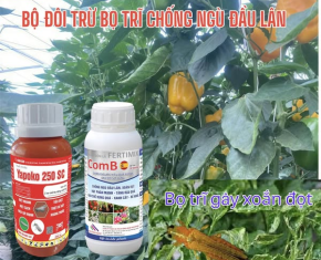 Thuốc Trừ Bệnh: Giải pháp Toàn Diện Bảo Vệ Nông Sản