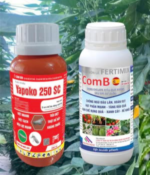 BỘ ĐÔI TRỪ BỌ TRĨ CHỐNG NGÙ ĐẦU LÂN