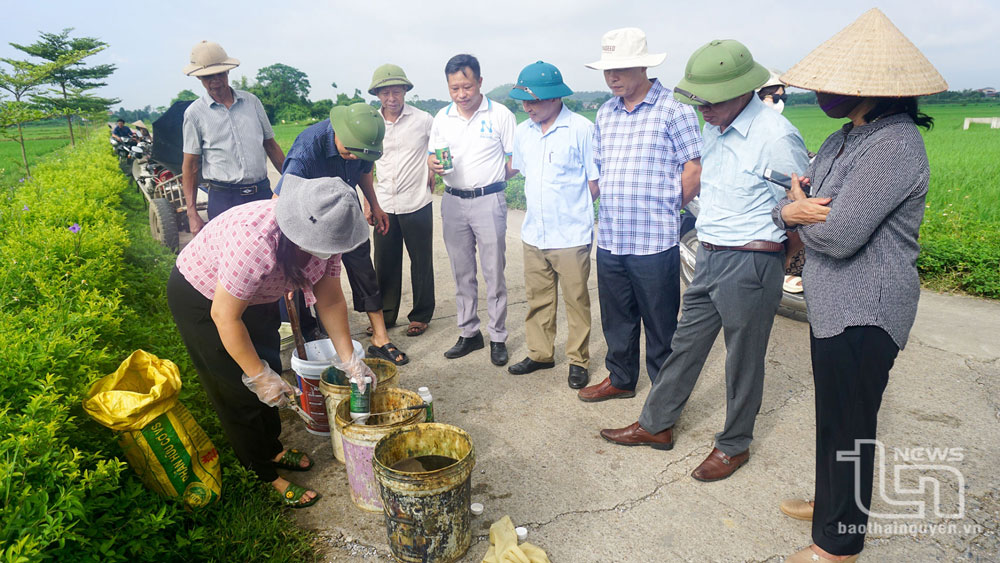 Phân bón lá - Bạn của nhà nông