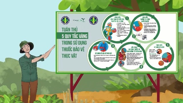 Sử dụng phân bón, thuốc bảo vệ thực vật an toàn, hiệu quả