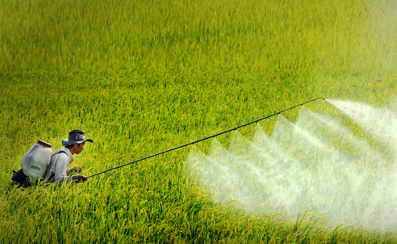 Sử dụng phân bón, thuốc bảo vệ thực vật an toàn, hiệu quả