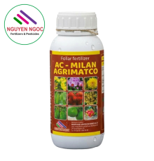 AC - MILAN Xuất xứ Ý (AMINO Ý)