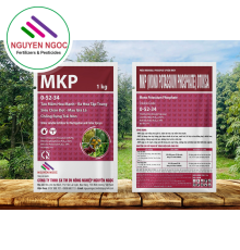 MKP 0-52-34 TẠO MẦM HOA - CHẶN ĐỌT