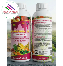 NK 3-31 Xuất xứ Tây Ban Nha - KALI ĐẬM ĐẶC