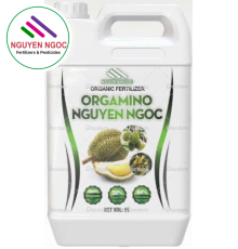 ORGAMINO NGUYEN NGOC - Xuất xứ Tây Ban Nha