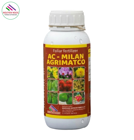 AC - MILAN Xuất xứ Ý (AMINO Ý)