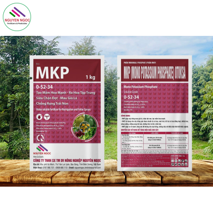 MKP 0-52-34 TẠO MẦM HOA - CHẶN ĐỌT