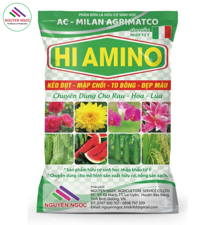 Hi Amino - Xuất Xứ Ý